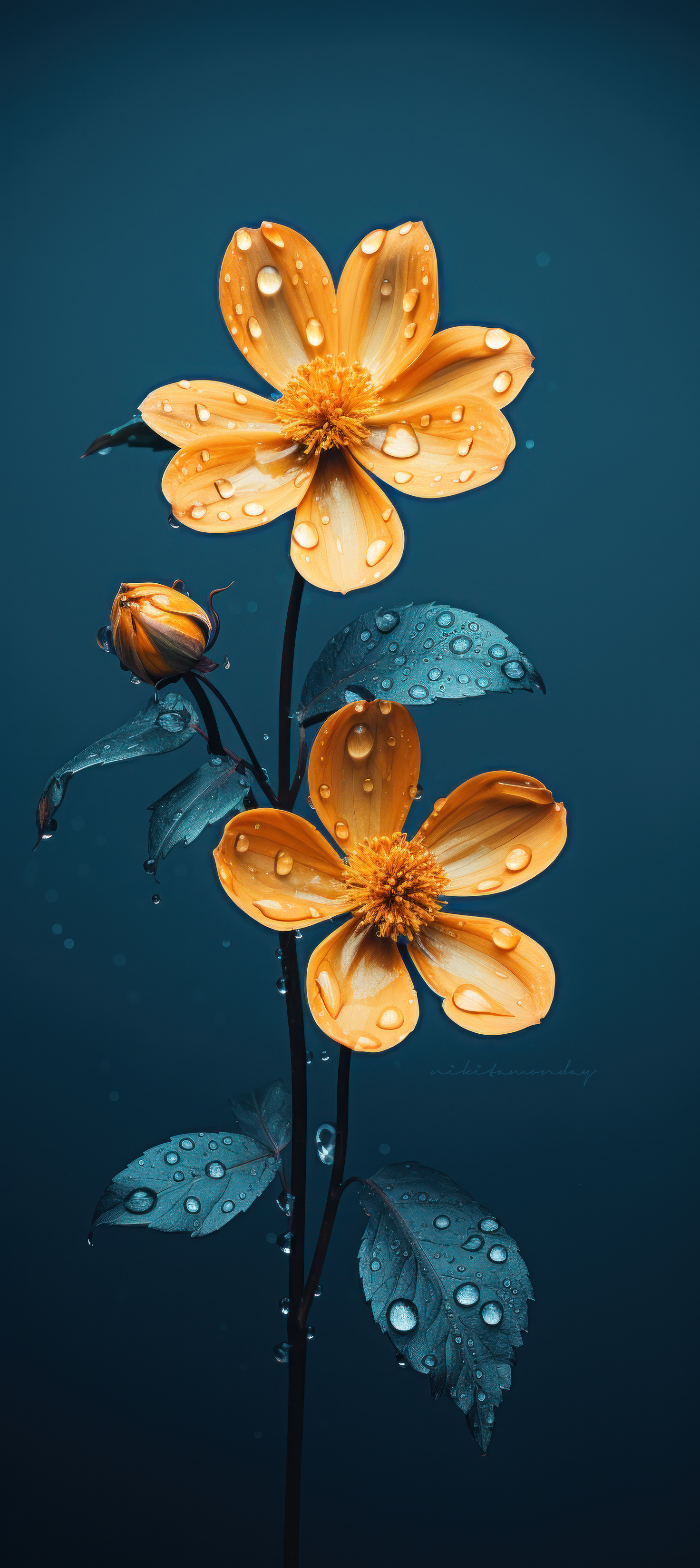 After The Rain