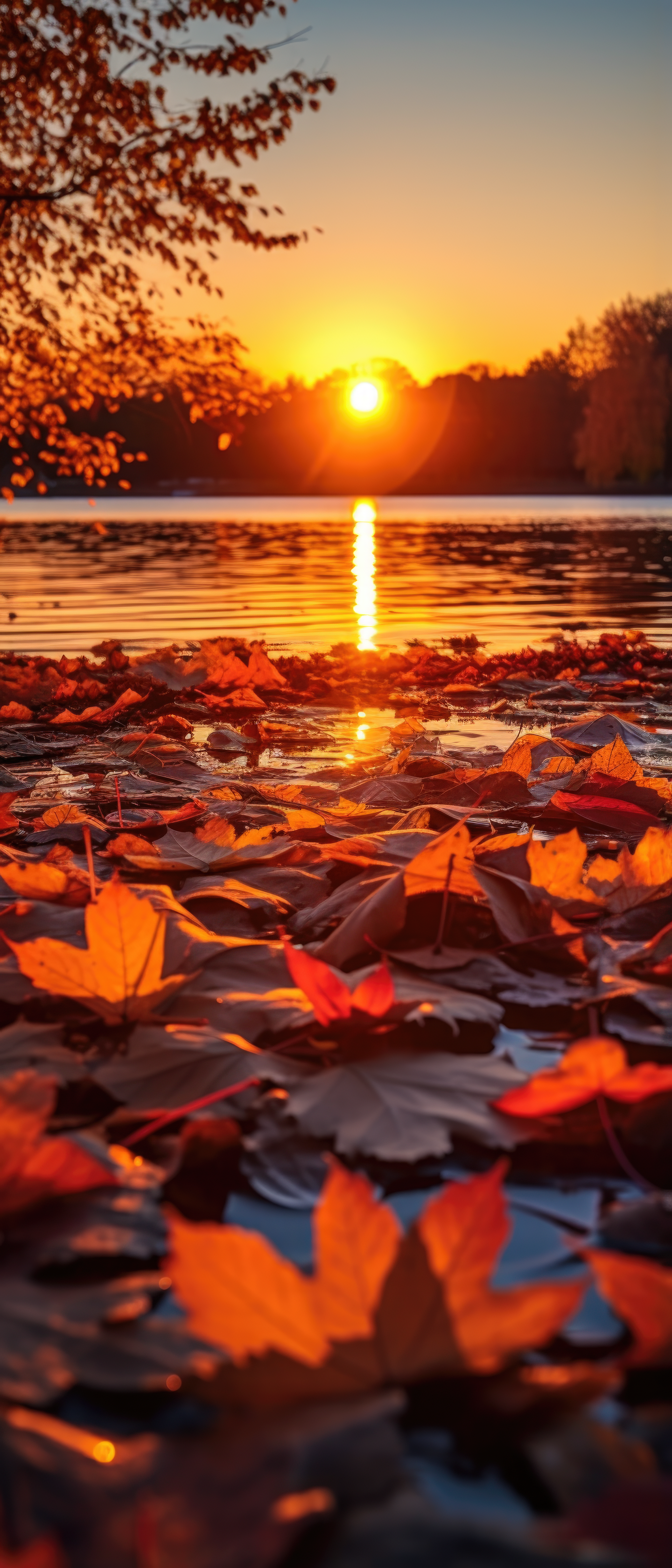 For The Love Of Autumn (2)