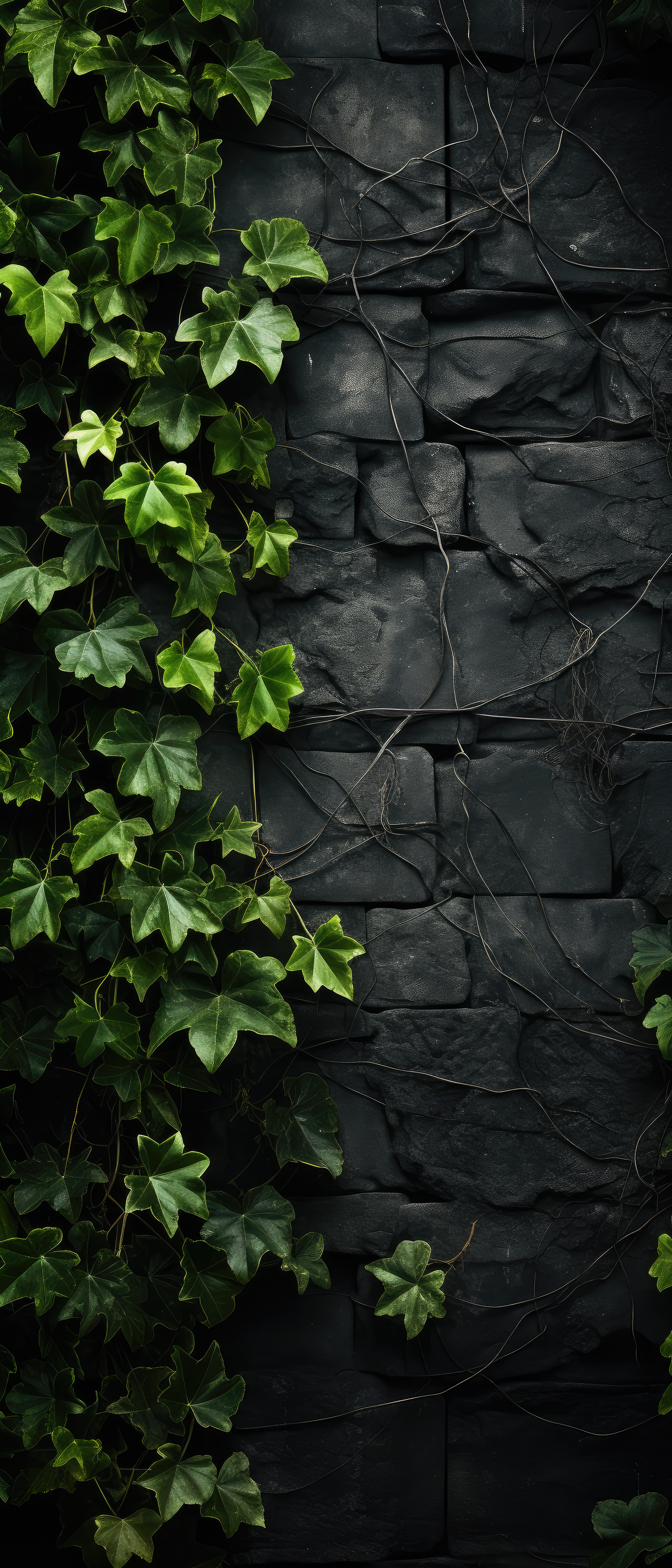 Ivy Love (1)