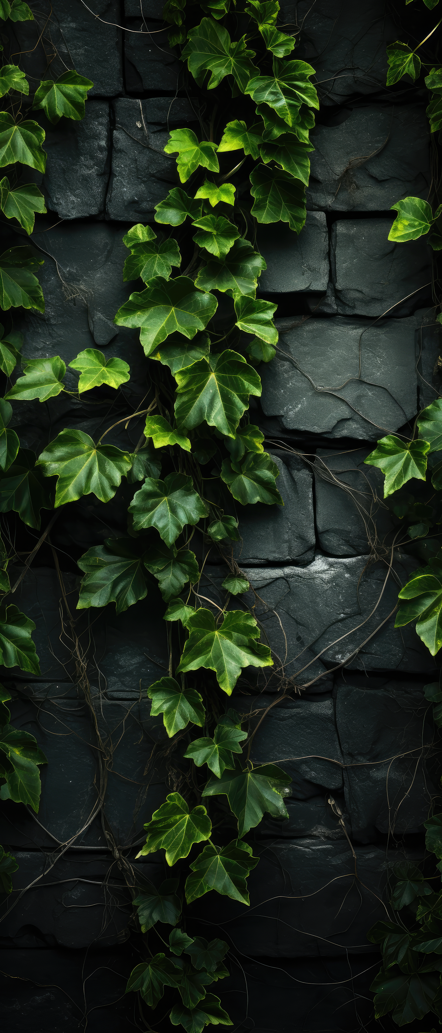 Ivy Love (2)